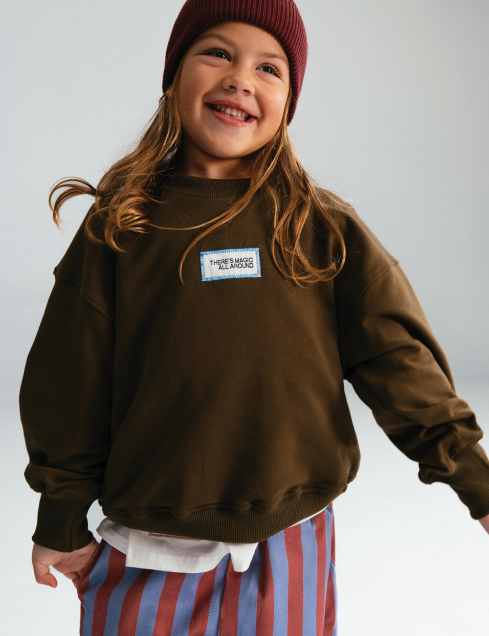 Sloppy Joe : Brownie