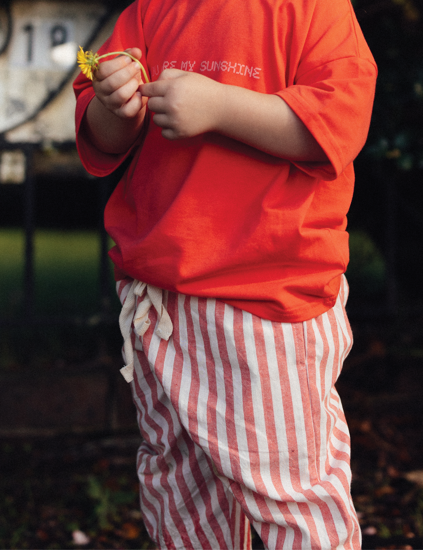The Stripey Staple in Poppy