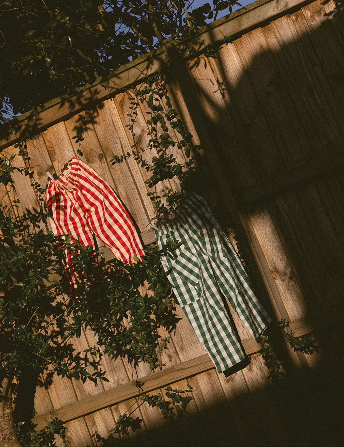 Pocket Pants in Cherry