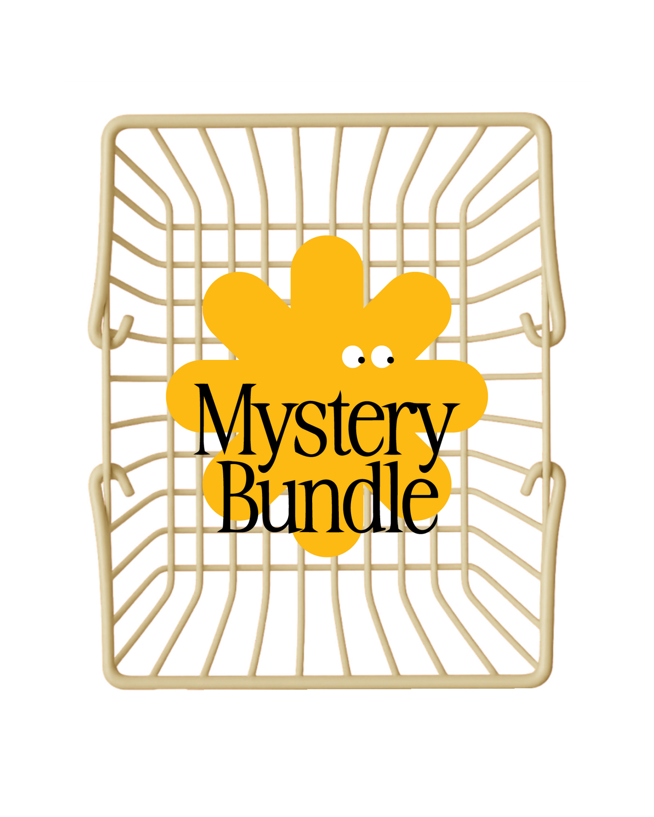 $100 MYSTERY BUNDLE