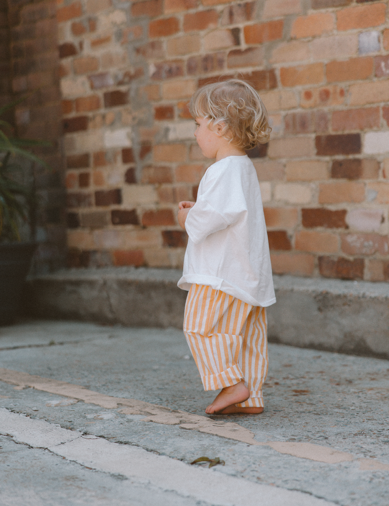 The Stripey Staple in Sunshine